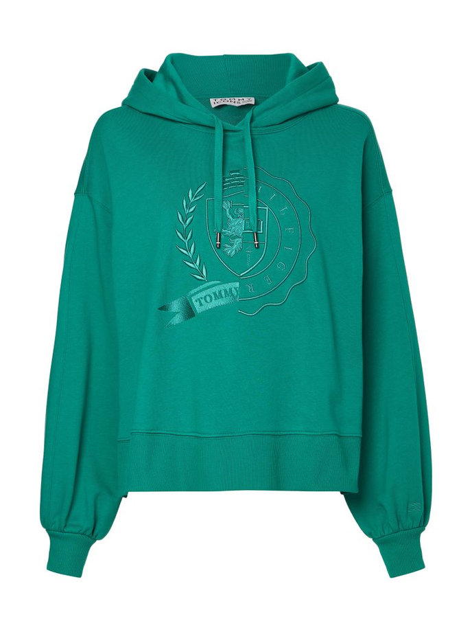 ICON RELAXED ICON HOODY zelená